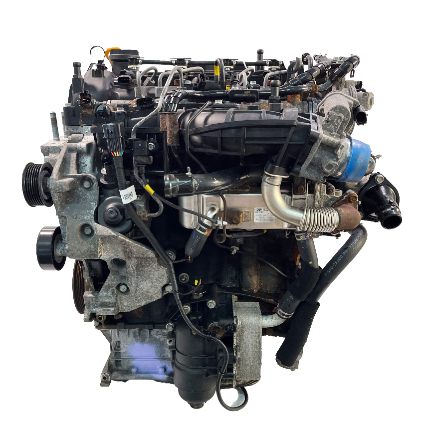 1699025634-1-Unbenannt-1516927030502023-08-22.jpg Moteur Kia Sportage QL 2.0 D4HA